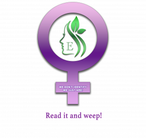 envyylogo